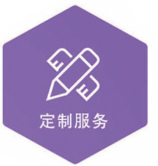 通信业务的扩展和定制